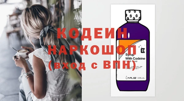 индика Аркадак