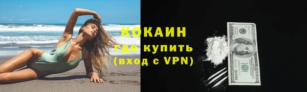 индика Аркадак