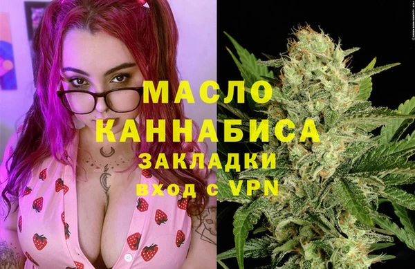 индика Аркадак