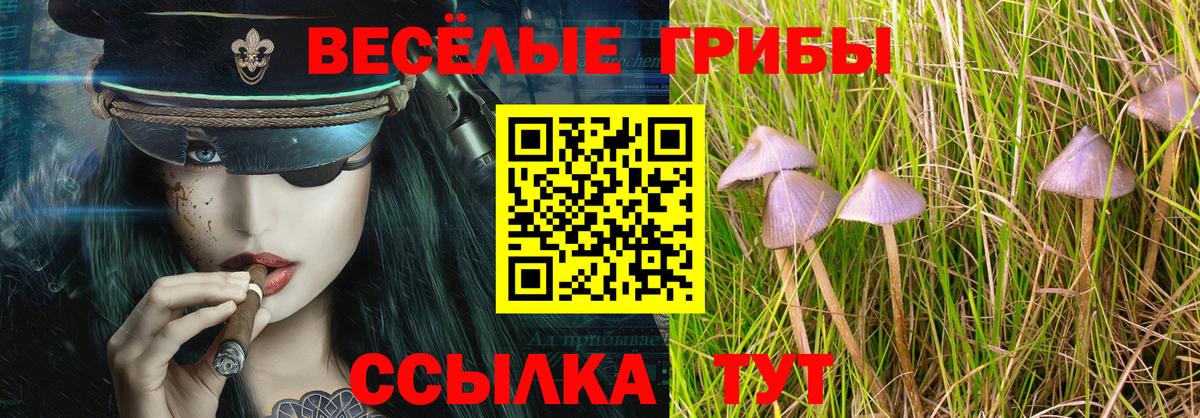 Псилоцибиновые грибы Cubensis Пушкино