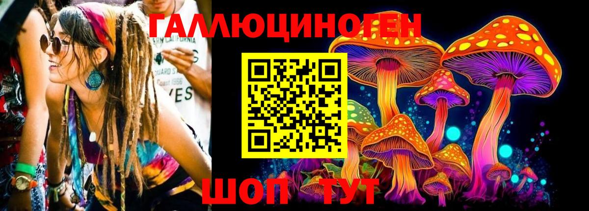 Пушкино  Псилоцибиновые грибы Cubensis  Вход с VPN 